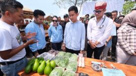 Cawapres nomor urut 2 Gibran Rakabuming hadir di program Gibran Mendengar di Banyuwangi. (Dok. TKN Prabowo - Gibran)